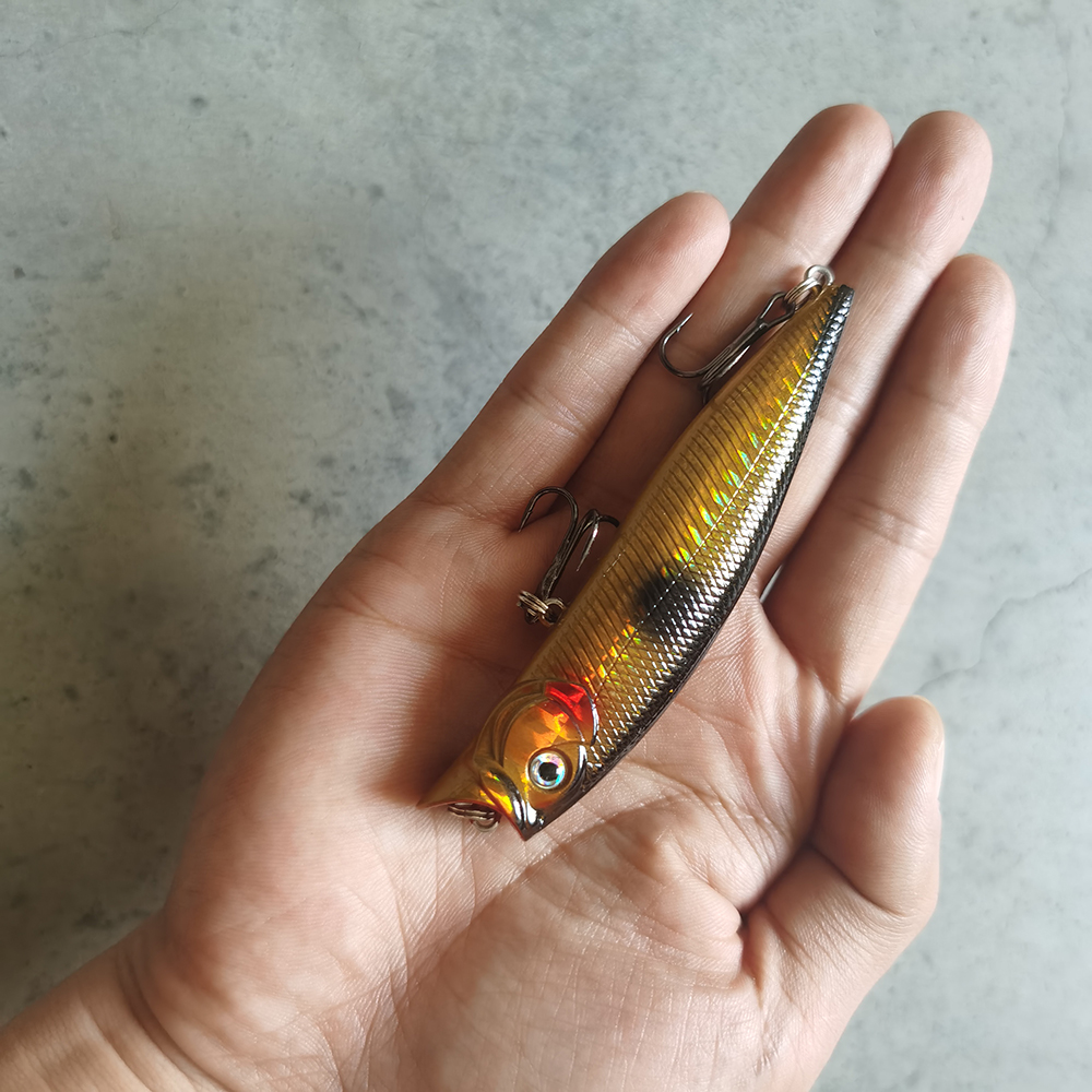 1pcs Fishing Lures High Qualit – Fishing Lure Topwater Bewertung und Preis